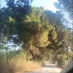 Mobil-home Grand Confort * Hyères