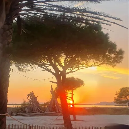 Campsite Mobil-home Grand Confort Hyeres