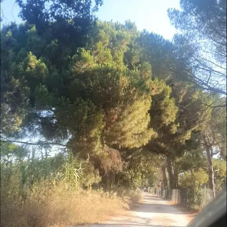 Mobil-home Grand Confort * Hyères