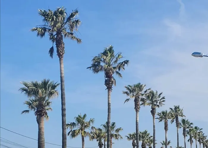 Campsite Mobil-home Grand Confort *