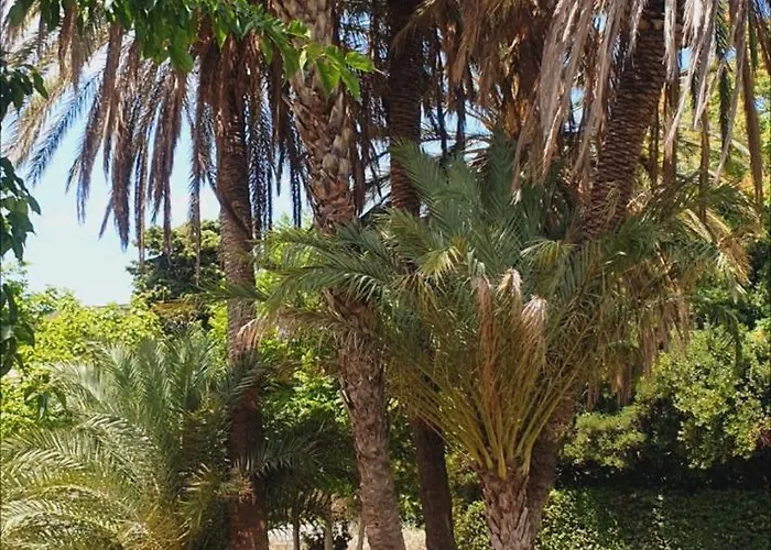 Mobil-home Grand Confort Hyeres