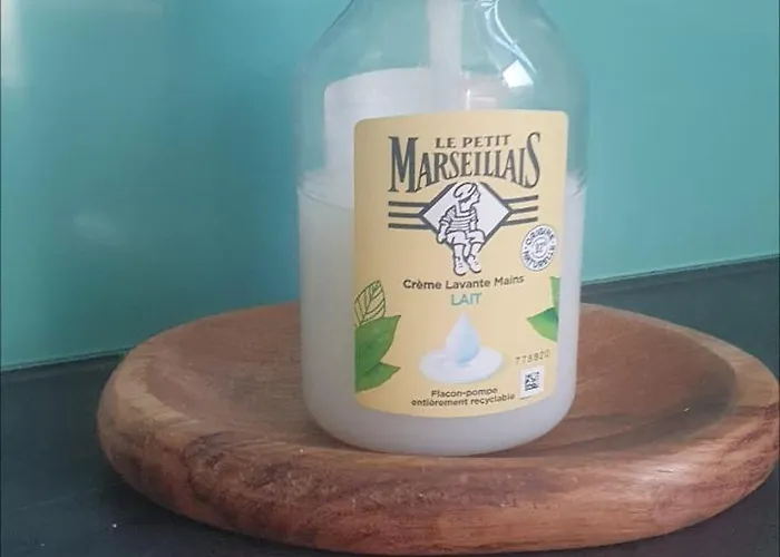 Mobil-home Grand Confort Campsite Hyeres