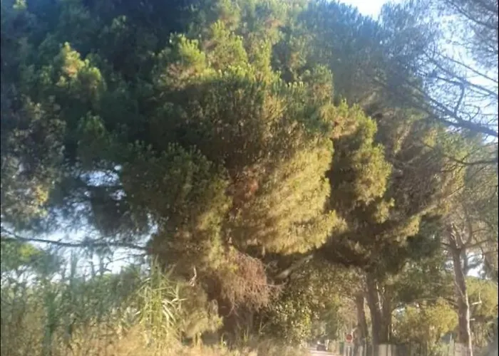 Mobil-home Grand Confort * Hyeres